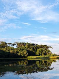 Trees by lake against sky