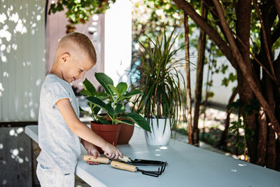 Spring houseplant care, repotting houseplants. happy little kid boy planting houseplants in pots