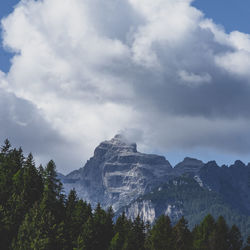 Scenic view of land and trees against sky