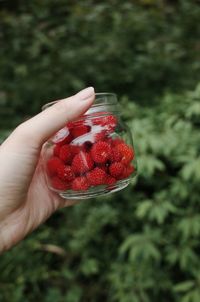 Close-up of hand holding strawberry