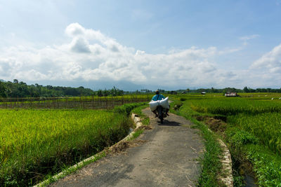 Road infrastructure and farmers transporting agricultural sector produce in indonesia