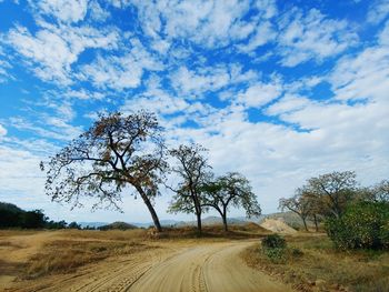 Dirt road along plants and trees against sky