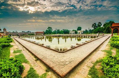 Panoramic shot of plants against sky