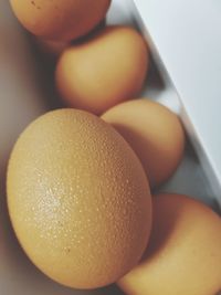 Close-up of eggs on table