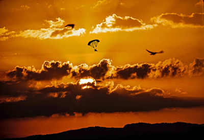 Silhouette of birds flying in sky during sunset