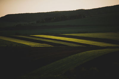 Scenic view of agricultural field against sky at sunset