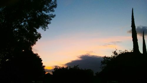 Silhouette trees against sky during sunset