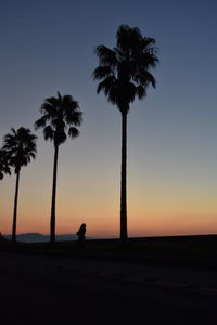 Silhouette palm trees on beach against sky during sunset