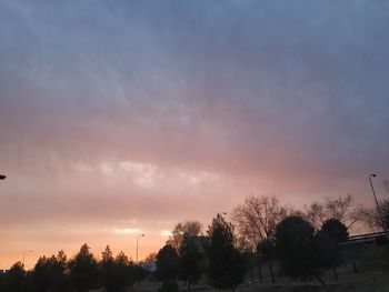 Silhouette trees against sky during sunset