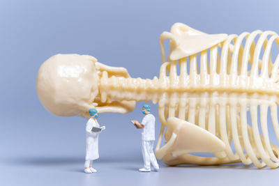 Close-up of dentures on white background