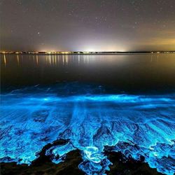 Scenic view of sea against sky at night