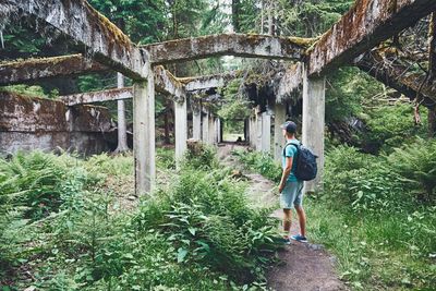 Man standing amidst plants and trees in forest
