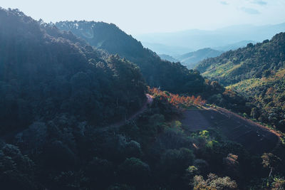 High angle view of trees and mountains against sky