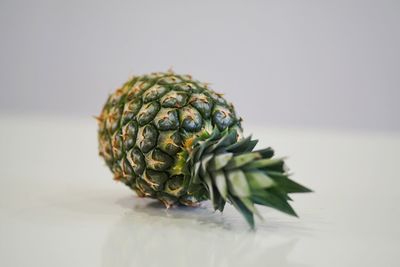 Close-up of fruit on white background