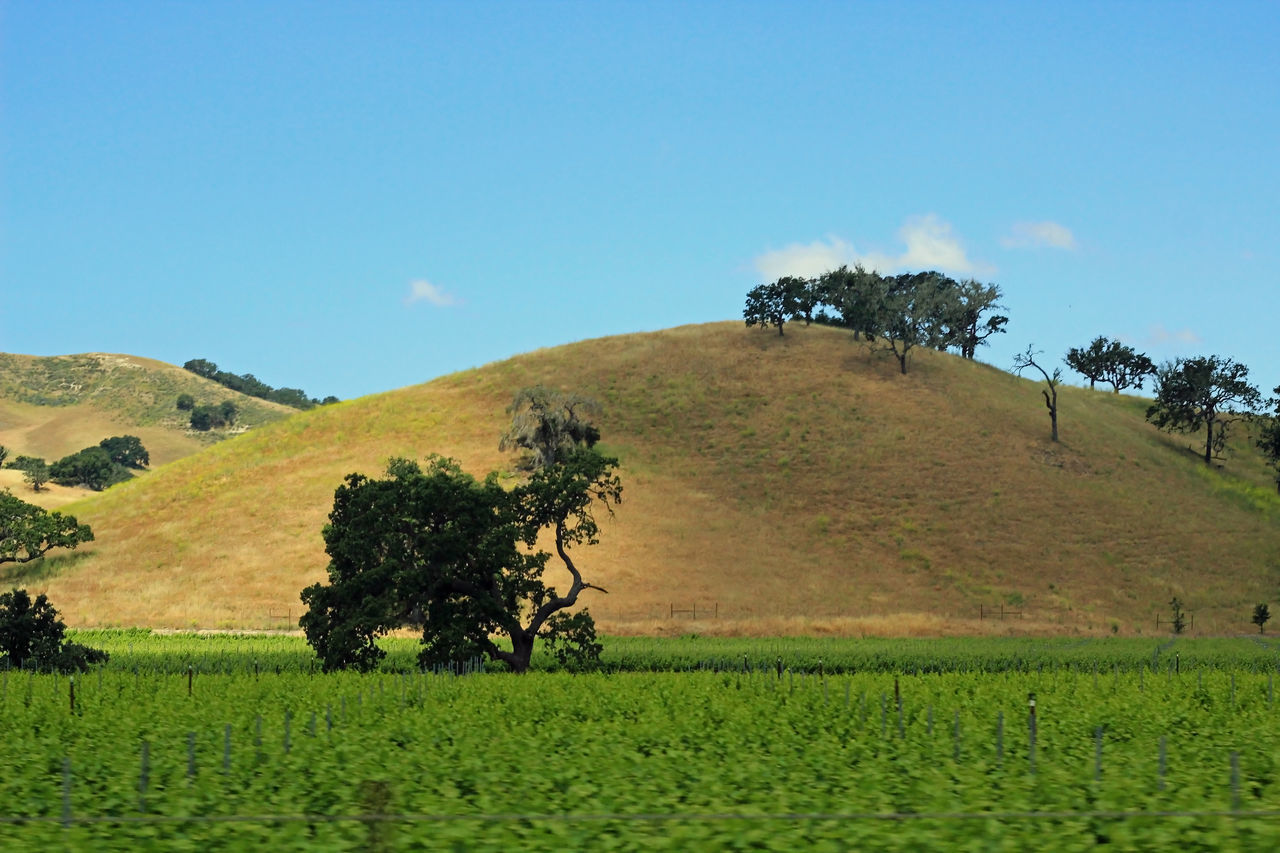 View from my ride