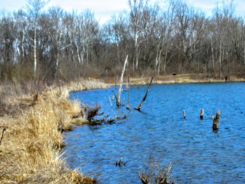 Scenic view of lake against sky