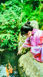 High angle view of lizard on rock, kid with kimono enjoying her pet of kpi fish 