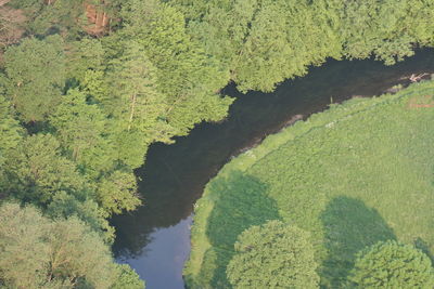 High angle view of river amidst trees