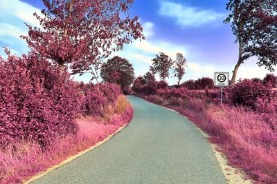 Road amidst trees against sky during autumn