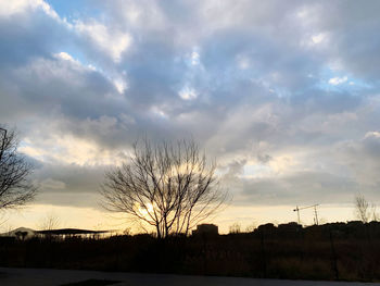 Silhouette bare trees on field against sky during sunset