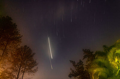 Low angle view of silhouette trees against sky at night