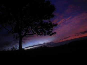 Silhouette trees on field against sky at sunset