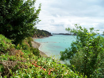 Scenic view of sea and trees against sky