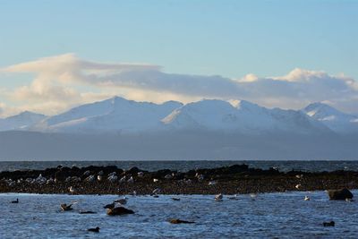 Scenic view of sea and mountains against sky