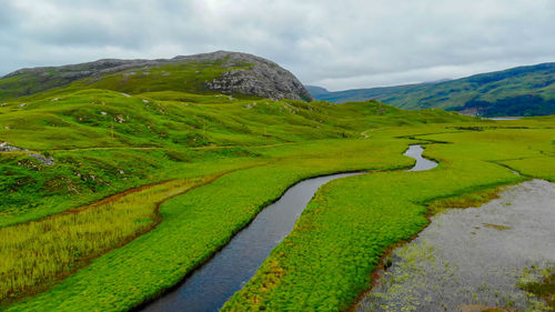 Scenic view of green landscape against sky