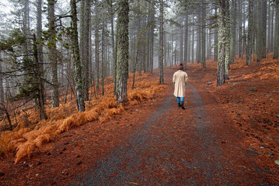 Rear view of woman walking in forest