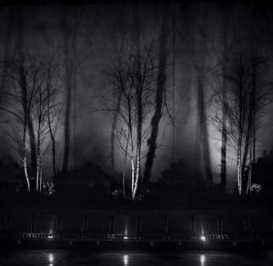 Silhouette bare trees by lake against sky at night