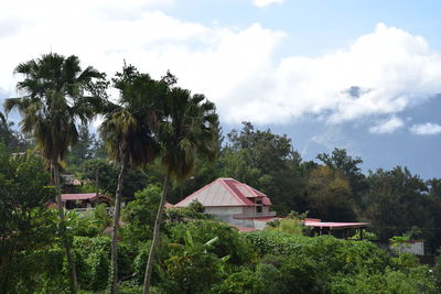 Houses and trees by plants against sky