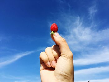 Cropped person holding strawberry against blue sky