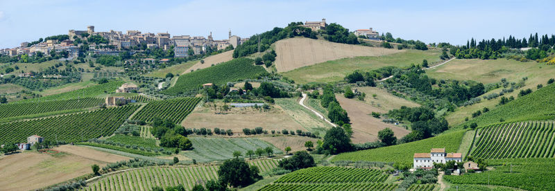Panoramic shot of agricultural field against buildings