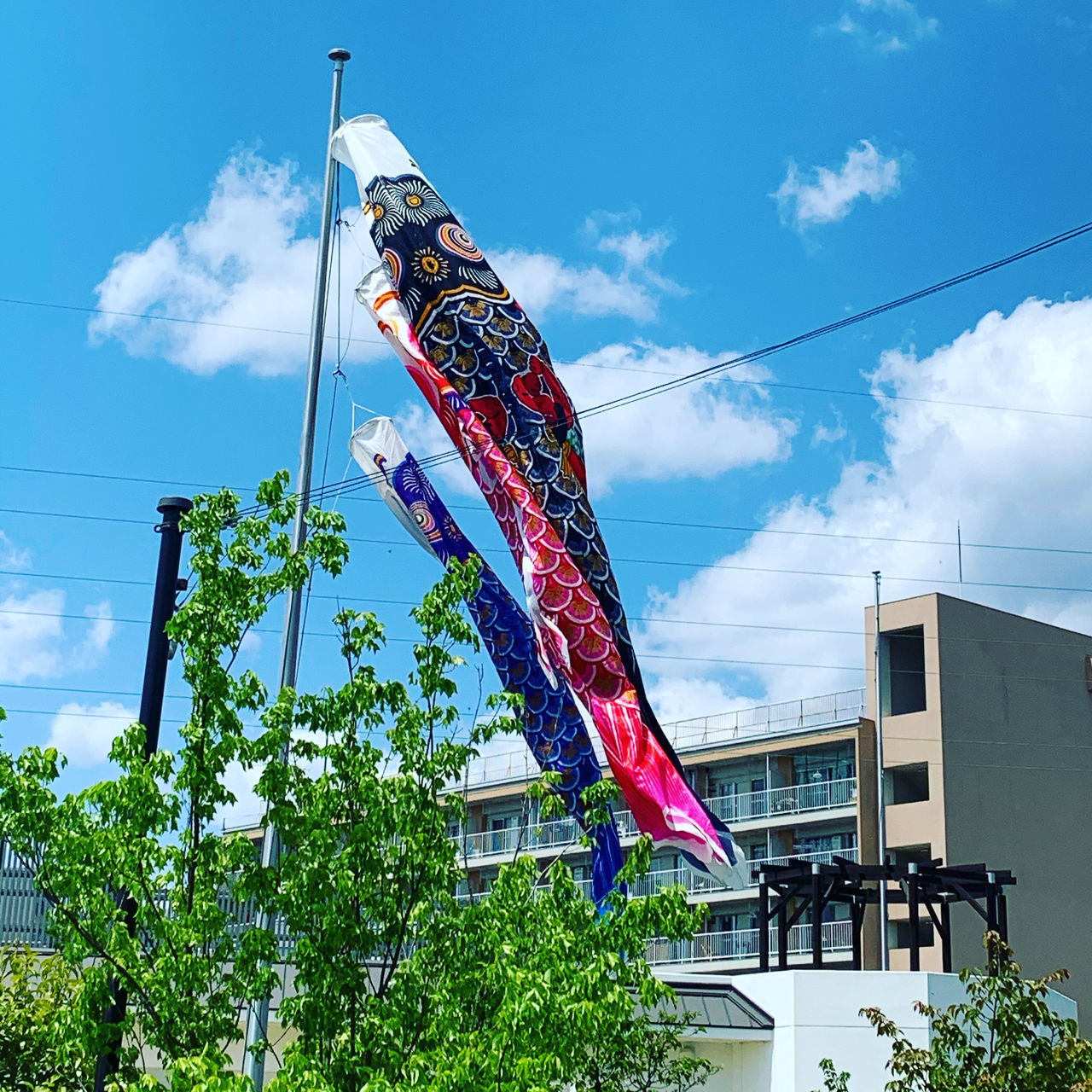 sky, cloud - sky, building exterior, low angle view, built structure, architecture, nature, day, plant, flag, hanging, patriotism, no people, tree, building, outdoors, cable, pride, sunlight, wind, independence