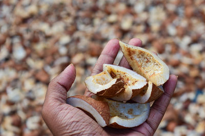 Cropped hand holding food