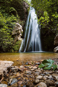 Scenic view of waterfall in forest