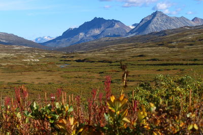 Scenic view of field and mountains against sky