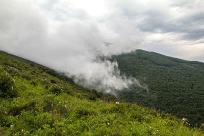 Scenic view of landscape against cloudy sky