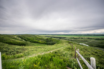 Scenic view of agricultural field against sky