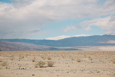 Scenic view of desert against sky