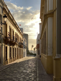 Empty alley amidst buildings in city