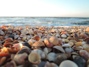 View of pebbles at beach against sky