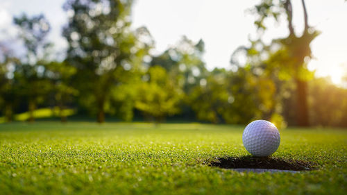 Golf ball on grass