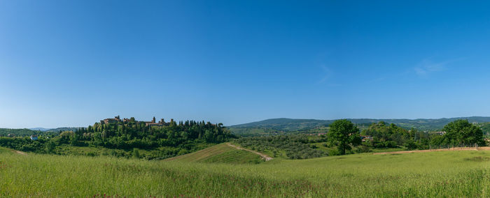 Scenic view of agricultural field against clear blue sky