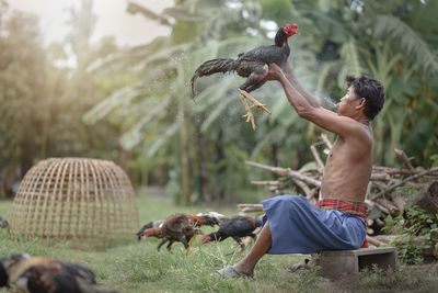 Full length of shirtless man splashing water on hen