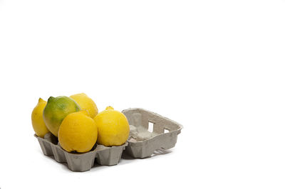 Close-up of fruits in plate against white background