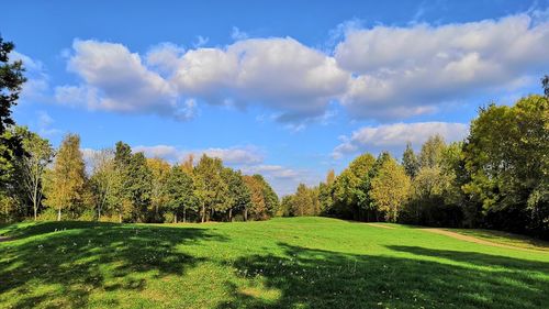 Panoramic shot of trees on field against sky