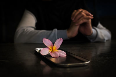 Close-up of hand with pink flower