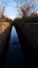 Canal amidst trees against sky